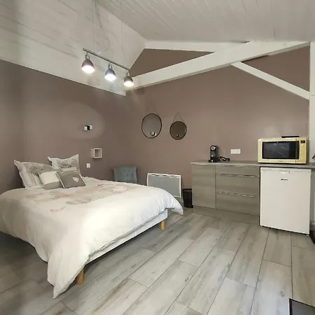 Jolies Familiales A 10 Minutes Du Puy Du Fou *